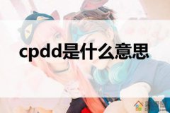 cpdd是什么意思？cp网络用语解释「科普」