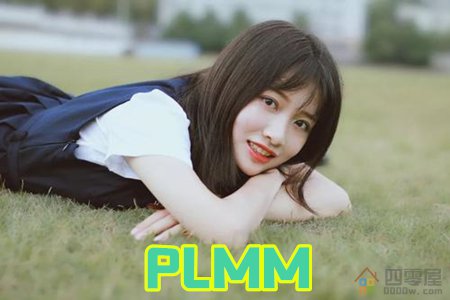 plmm什么意思网络用语「解释」