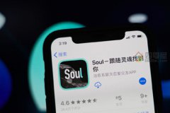 soul是什么软件（网恋需谨慎）