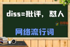 diss是什么意思中文「解释」