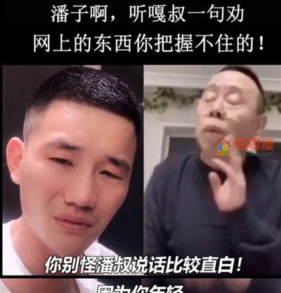 潘嘎之交是什么梗？潘嘎之交出自哪里？-第2张图