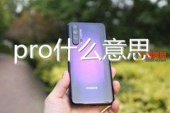 pro是什么意思中文