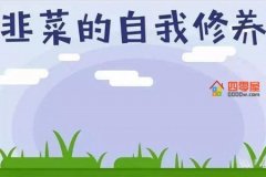 割韭菜是什么意思「解释」