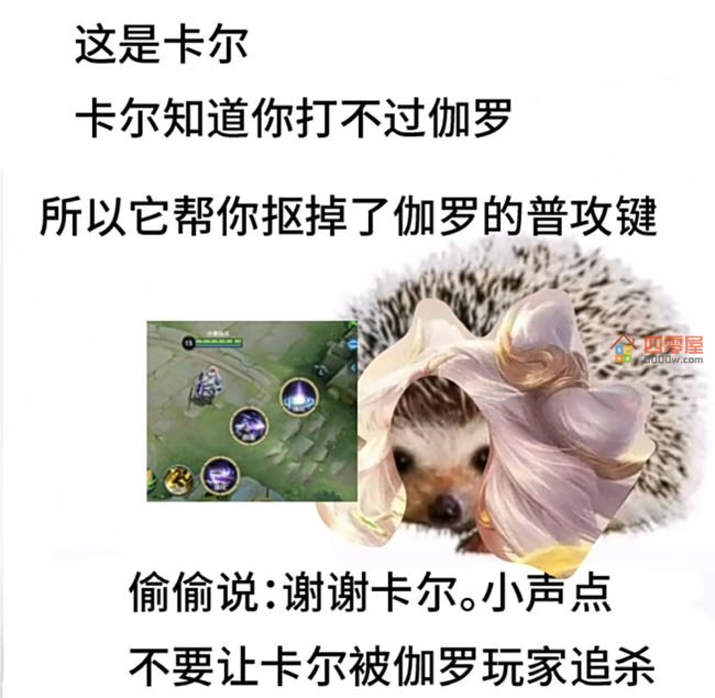 卡尔刺猬是什么梗？