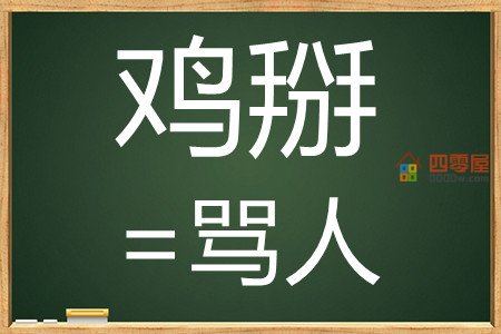 鸡掰是什么意思？