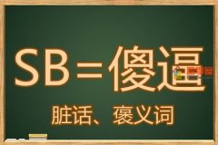 SB是什么意思？网络语言SB的意思