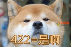 422谐音是什么意思？网络用语422的意思