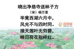 晓出净慈寺送林子方这首诗的意思是什么？