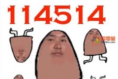 114514什么梗？114514为什么是恶臭数字